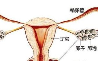 山东潍坊最大的助孕机构怎么选？5家试管医院可供选择