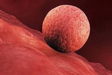 马来西亚试管婴儿医院费用一览，高端医疗技术解析及价格对比