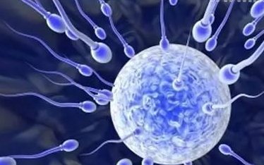 试管婴儿三代成功率高吗？费用构成详解