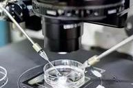 泰国三代试管婴儿的医院哪家好？名单如下