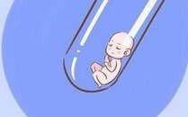 2026年第三代试管的哪个费用更高？