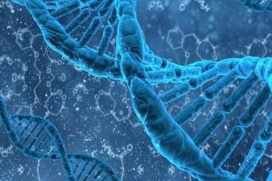 2026年岳阳三代试管婴儿比较好的私立医院在哪里？